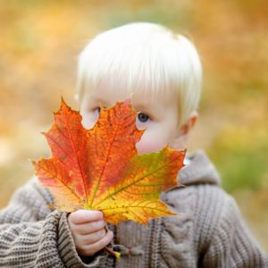 Home San Rafael Family Attorney